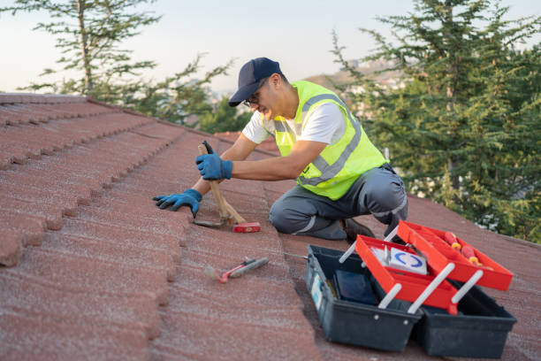 Best Commercial Roofing Services  in Johnson City, KS