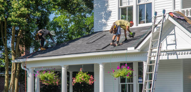 Best Roof Gutter Cleaning  in Johnson City, KS